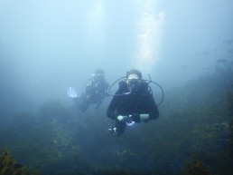 Scuba diving on Jeju island, South Korea